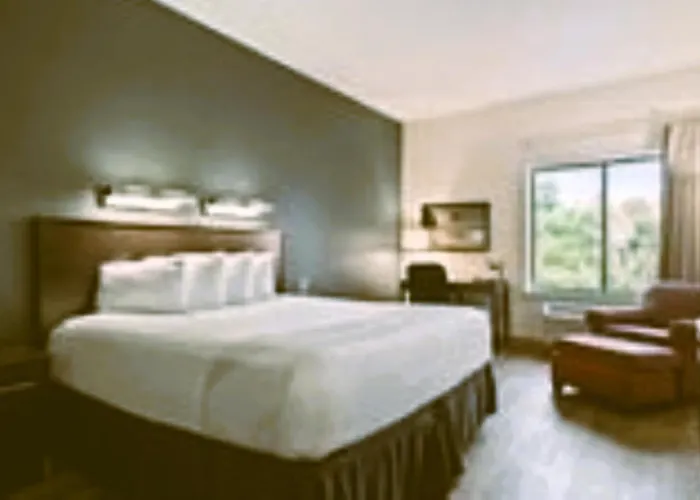 Suburban Studios Orlando - Ocoee-Winter Garden